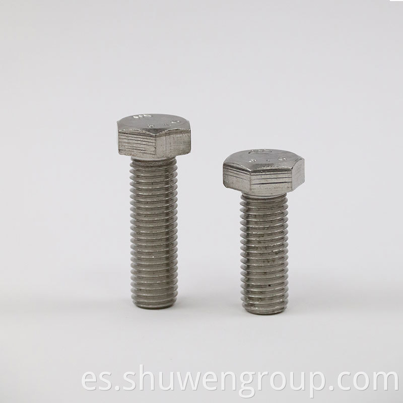Stainless Steel Hex Bolt 8 2